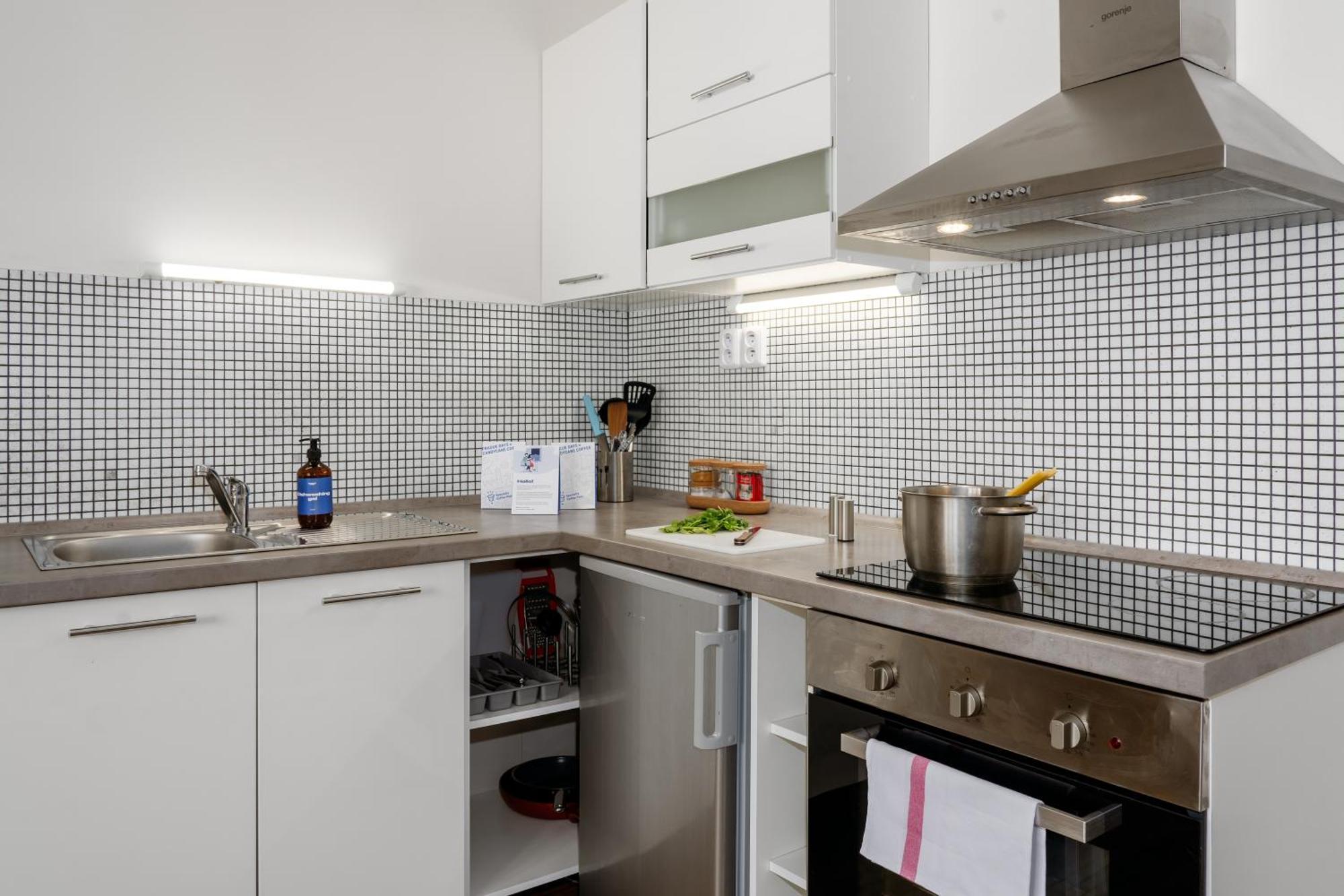 Apartment Days - Open-plan - Close To Vysehrad Castle Prague